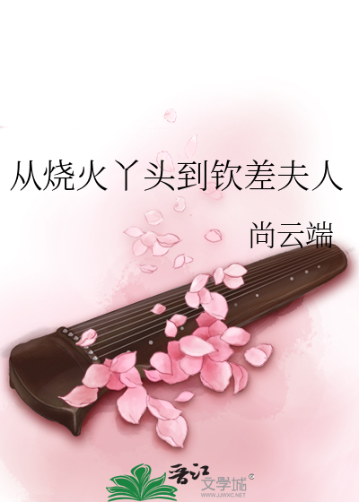 从烧火丫头到钦差夫人章节列表