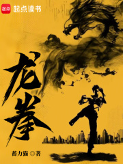 龙拳章节列表