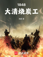1848大清烧炭工章节列表