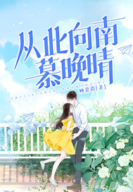 从此向南慕晚晴章节列表