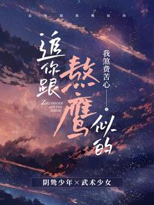 追你跟熬鹰似的章节列表