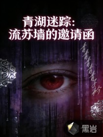 青湖迷踪：流苏墙的邀请函章节列表