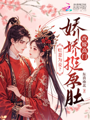 贬妻为妾？娇娇挺孕肚改嫁高门章节列表