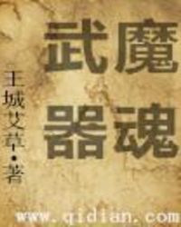 武魔器魂章节列表