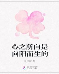 心之所向是向阳而生的章节列表