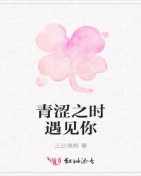 青涩之时遇见你章节列表