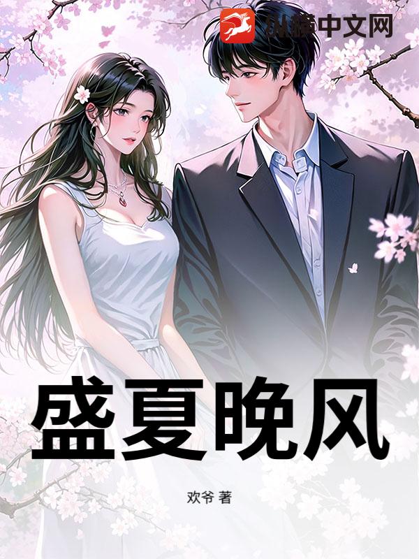 盛夏晚风章节列表