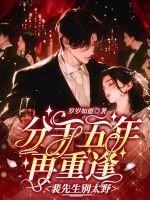 分手五年再重逢，裴先生别太野章节列表