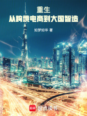 重生：从跨境电商到大国智造章节列表