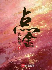 点金章节列表