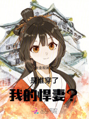 是谁穿了我的悍妻？！章节列表
