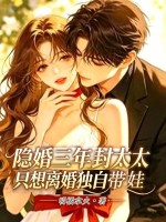隐婚三年，封太太只想离婚独自带娃章节列表
