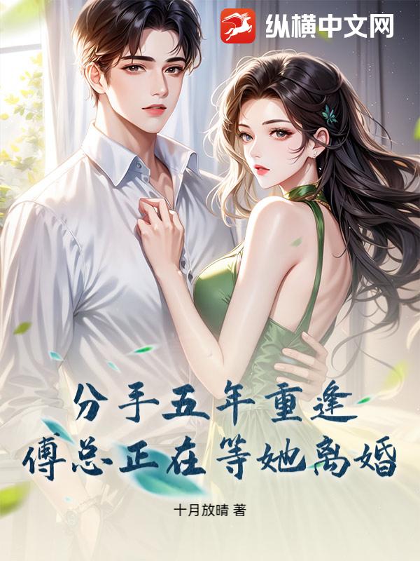 分手五年重逢，傅总正在等她离婚章节列表