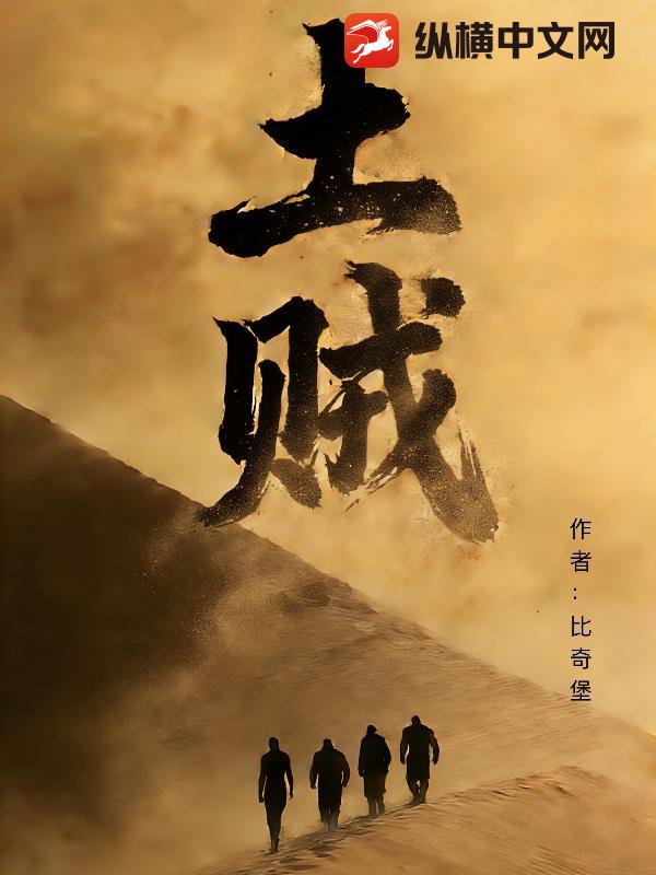 土贼章节列表
