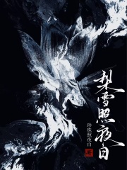 梨雪照夜白章节列表