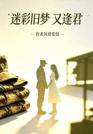 迷彩旧梦又逢君章节列表