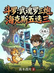 斗罗：武魂罗三炮，海克斯五选三章节列表