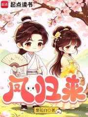 凤归来章节列表