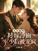 五年骗婚，转嫁冷面军少后被宠疯章节列表