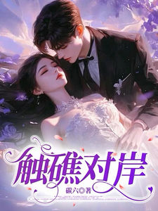 触礁对岸章节列表