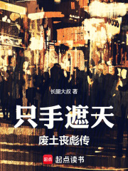 只手遮天：废土丧彪传章节列表