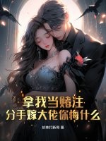 拿我当赌注，分手嫁大佬你悔什么章节列表