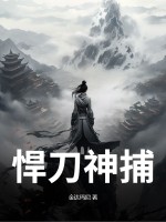 悍刀神捕章节列表