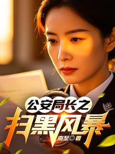 公安局长之扫黑风暴章节列表