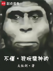 不懂，我玩猿神的章节列表
