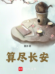 算尽长安章节列表