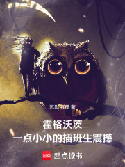 霍格沃茨：一点小小的插班生震撼章节列表