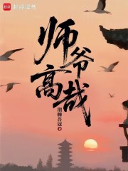 师爷高哉章节列表