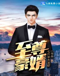 至尊豪婿章节列表