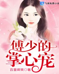 傅少的掌心宠章节列表