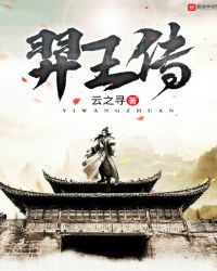 羿王传章节列表