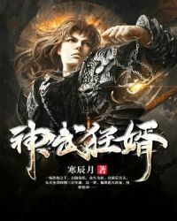 神武狂婿章节列表