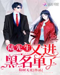 陆先生又进黑名单了章节列表