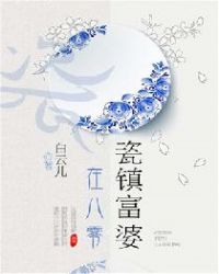 瓷镇富婆在八零章节列表