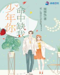 少年你命中缺我章节列表