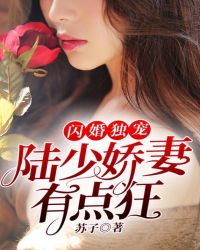 闪婚独宠：陆少娇妻有点狂章节列表