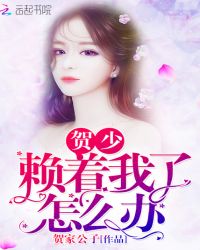 贺少赖着我了怎么办章节列表