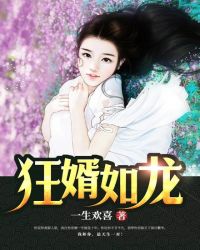狂婿如龙章节列表