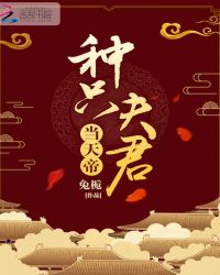种只夫君当天帝章节列表