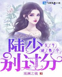 头号追妻令：陆少别过分章节列表