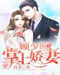 顾少的掌上娇妻章节列表