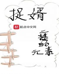 捉婿章节列表