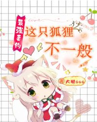 最强妻约：这只狐狸不一般章节列表