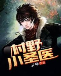 村野小圣医章节列表