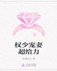权少宠妻超给力章节列表
