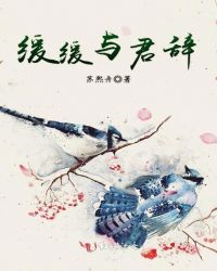 缓缓与君辞章节列表